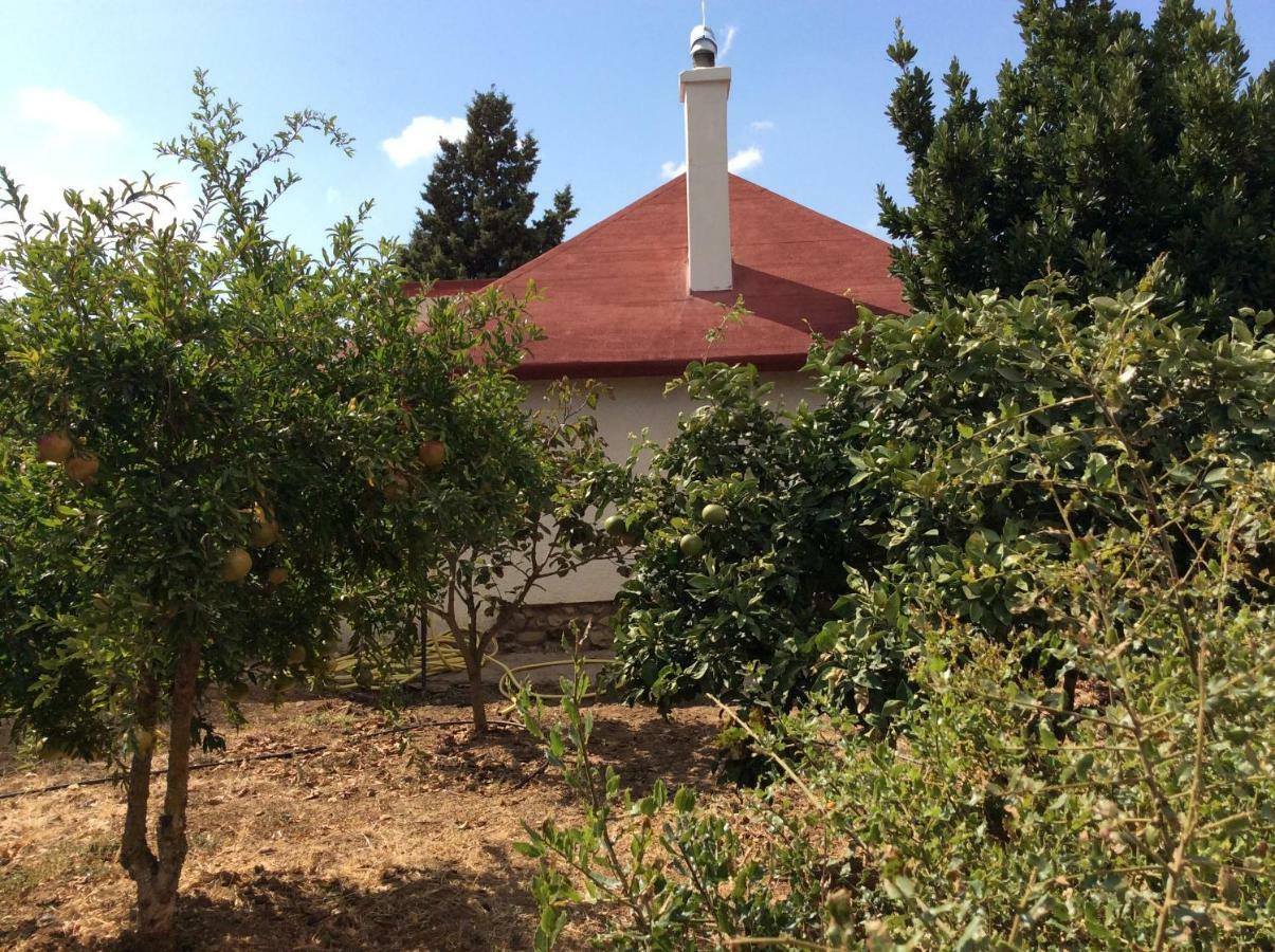 La Casa De Las Higueras Dar Karmus Tétouan Ngoại thất bức ảnh