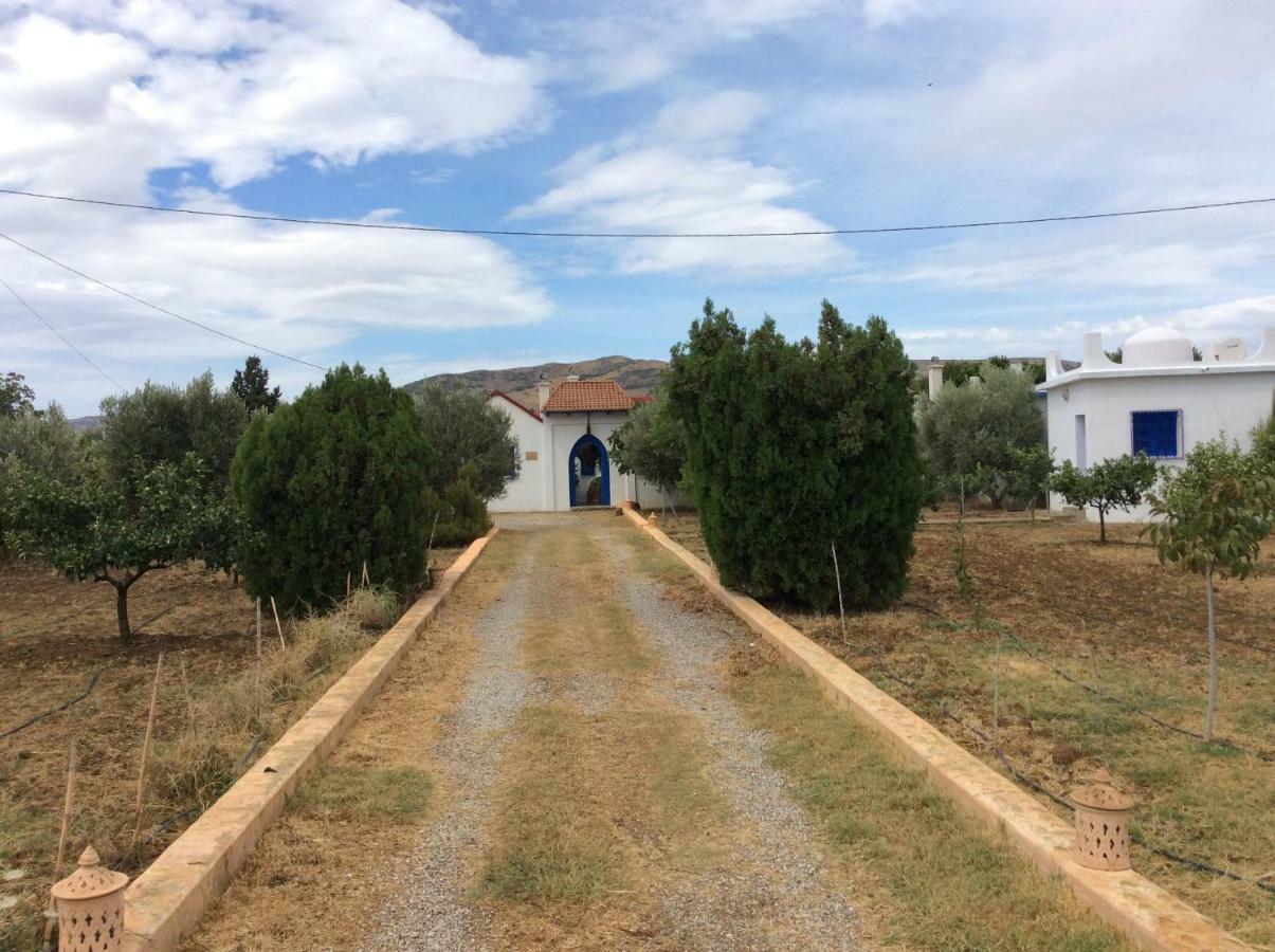 La Casa De Las Higueras Dar Karmus Tétouan Ngoại thất bức ảnh