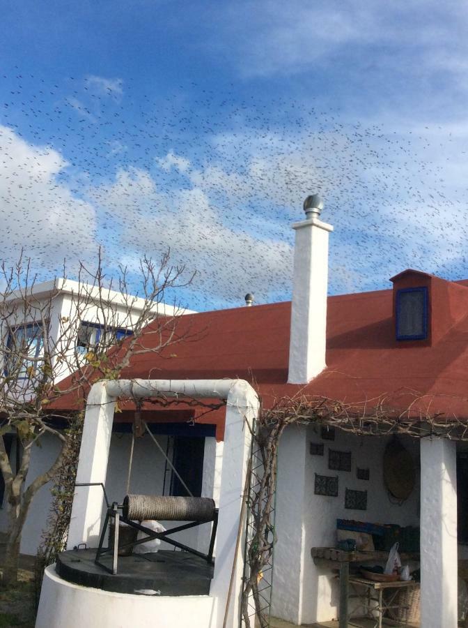 La Casa De Las Higueras Dar Karmus Tétouan Ngoại thất bức ảnh