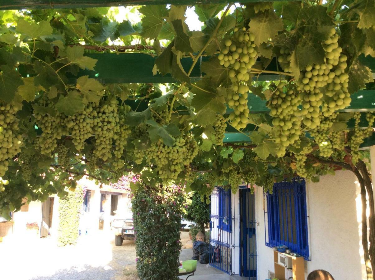 La Casa De Las Higueras Dar Karmus Tétouan Ngoại thất bức ảnh